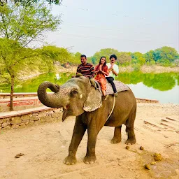 Elemojo - Best Elephant Wildlife Sanctuary in India