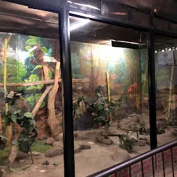 Elephant Enclosure
