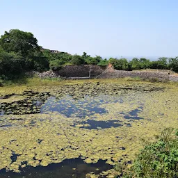 Elephant Pond