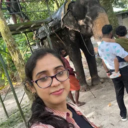 Elephant Training Camp Alleppey