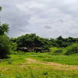 Elephants Park