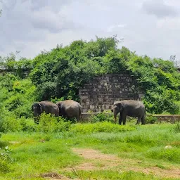 Elephants Park