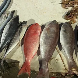 Elliot's Beach Fish Market