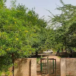 Entry Gate to Jogger Park for Pedestrians (National Colony)