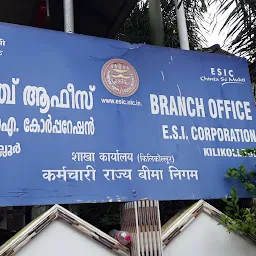 Esi corporation, Branch office