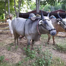 Ethnic Hall, ShilpaRamam