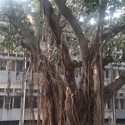 Examination Hall, Magadh University