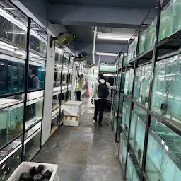 Exotica Aquarium & Pet Store