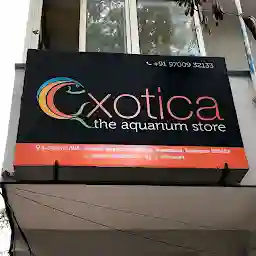 Exotica Aquarium & Pet Store