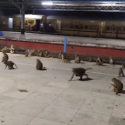 Faizabad Railway Station (FD)