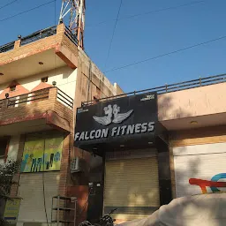 Falcon fitness