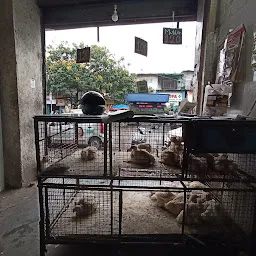 Fancy Chicken Shop