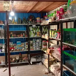 Fancy Fish Aquarium & Pet's Shop - Best Fish Aquarium In Yavatmal