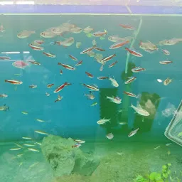 FISH ADDICTS AQUARIUM STORE