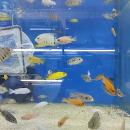 FISH ADDICTS AQUARIUM STORE