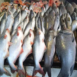 Wholesale fish market gwalior