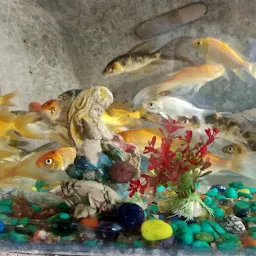 Fish Aquarioum Shop una