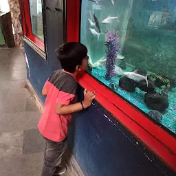 Fish Aquarium