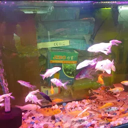 Fish Aquarium Jabalpur Aqua Hut