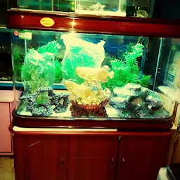 Fish Aquarium Jabalpur Aqua Hut