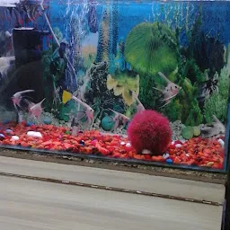 Fish Aquarium Shop