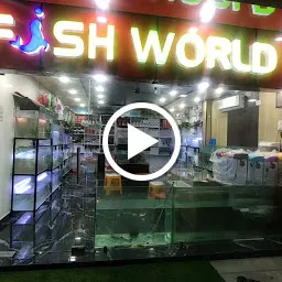 Fish aquarium shop