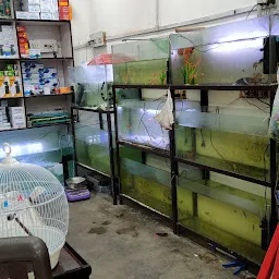 Fish aquarium shop