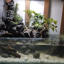 Fish Aquarium Shop