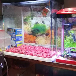 Fish Aquarium Zone