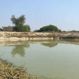 Fish farm Owais jafar