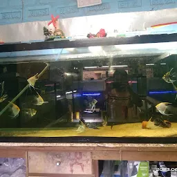 Fish hobby store