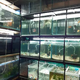 Fish hobby store