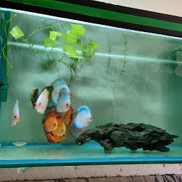 Fish hobby store