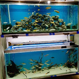 Fish hobby store