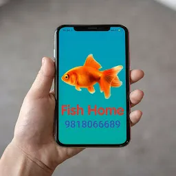 Fish Home