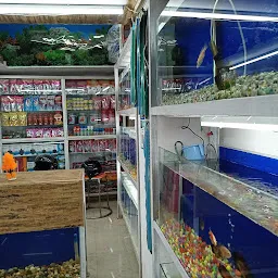 Fish Hub