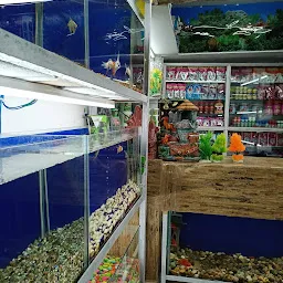 Fish Hub