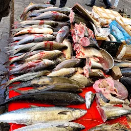 Fish market