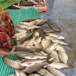 Fish Market జల పుష్ప భవన్