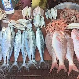 Fish Market Lawson's Bay