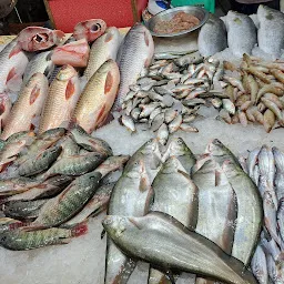 Fish Market (মাছের বাজার)