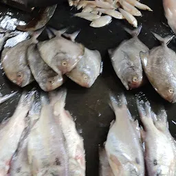 Fish market, Majiwada village