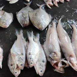 Fish market, Majiwada village