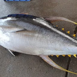 Fish market Vaddy Kollam