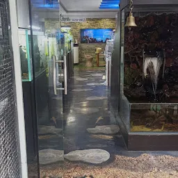 Fish Paradise