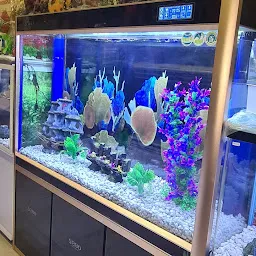 Fish Paradise