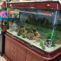 Fish Paradise