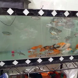 Fish Paradise