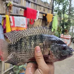 Fish shop