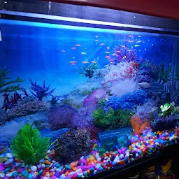 Fish Splash Aquarium